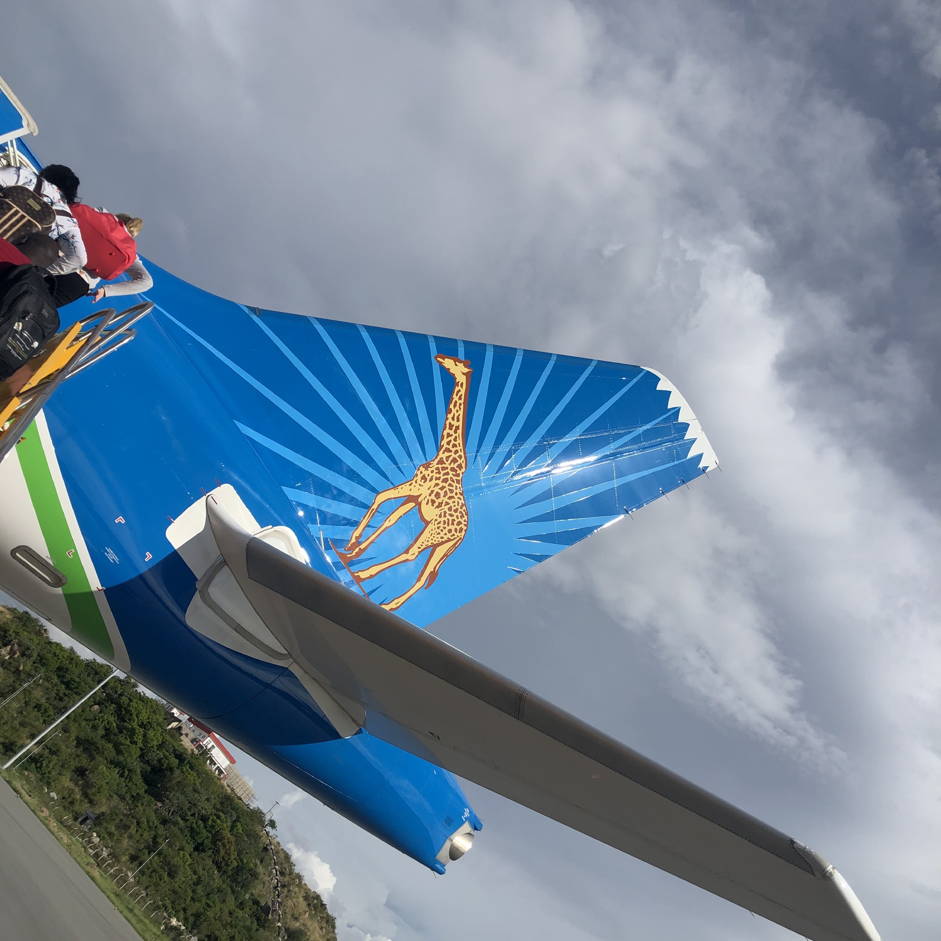 Airline tail with a photo of a girrafe